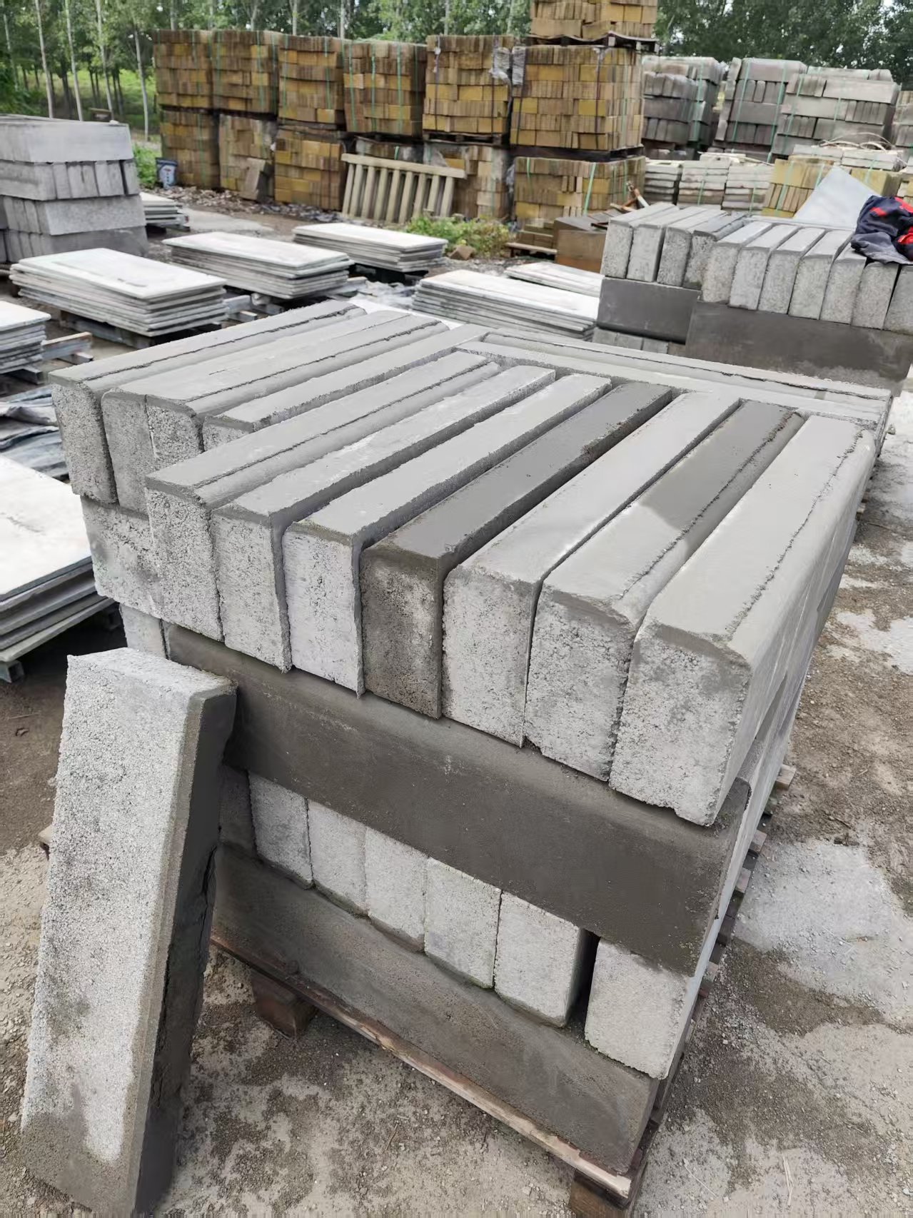 路沿石馬路的守護者